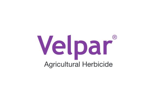 Velpar Logo