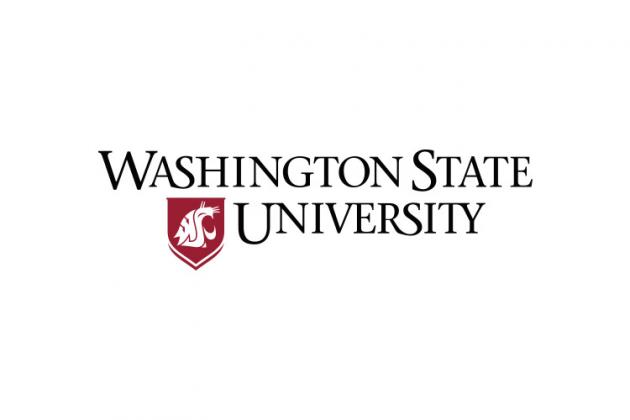 Washington State Logo