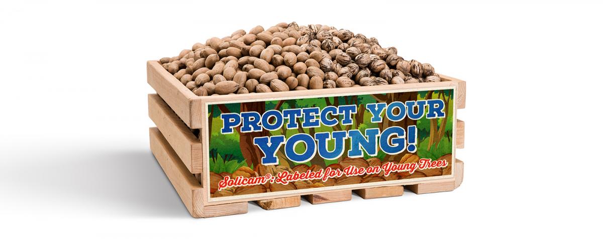 Protect your young! Solicam labeled fro use on young trees.