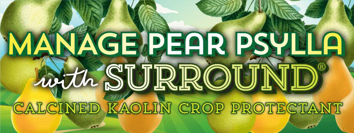 Surround Pear