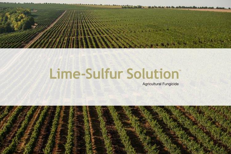 Lime-Sulfur Solution Agricultural Fungicide