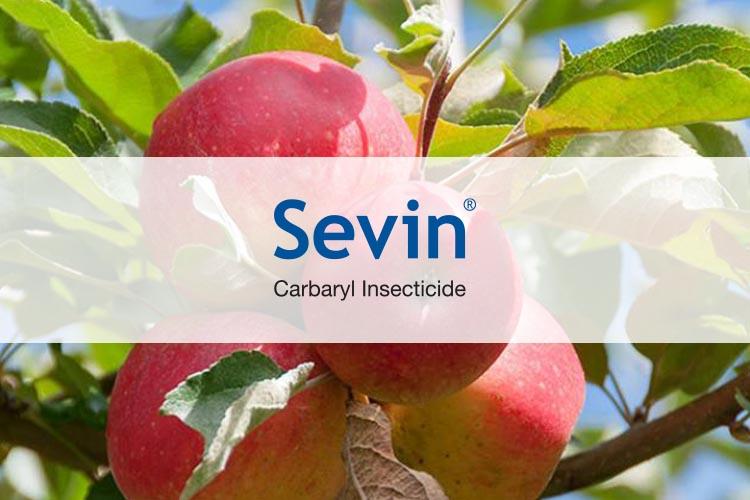 Sevin Carbaryl Insecticide