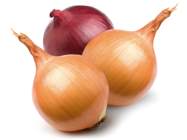 Onions_Landscape