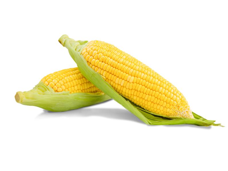 Lannate Corn