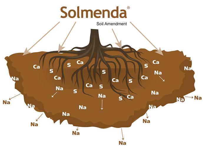Solmenda soil ammendment