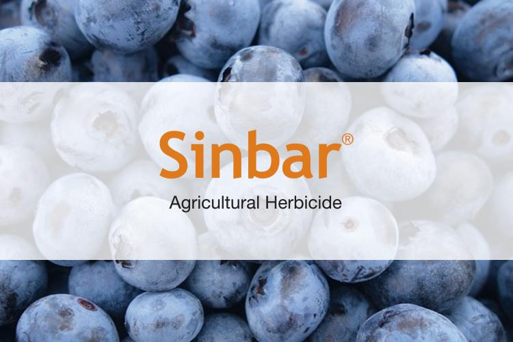 MAINTAIN CLEAN BLUEBERRY FIELDS AND MANAGE HERBICIDE RESISTANCE