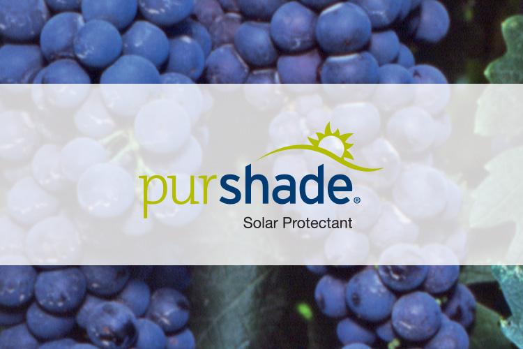 Reducing Solar Stress on Wine Grapes 