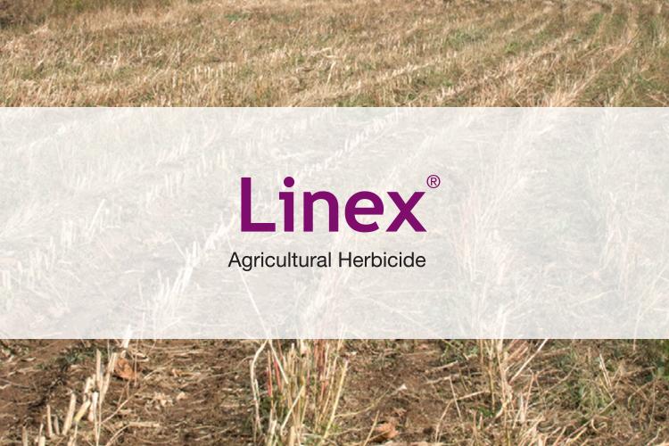 AT FALLOW, TANK MIX LINEX® WITH BURNDOWN HERBICIDES TO CONTROL TOUGH WEEDS