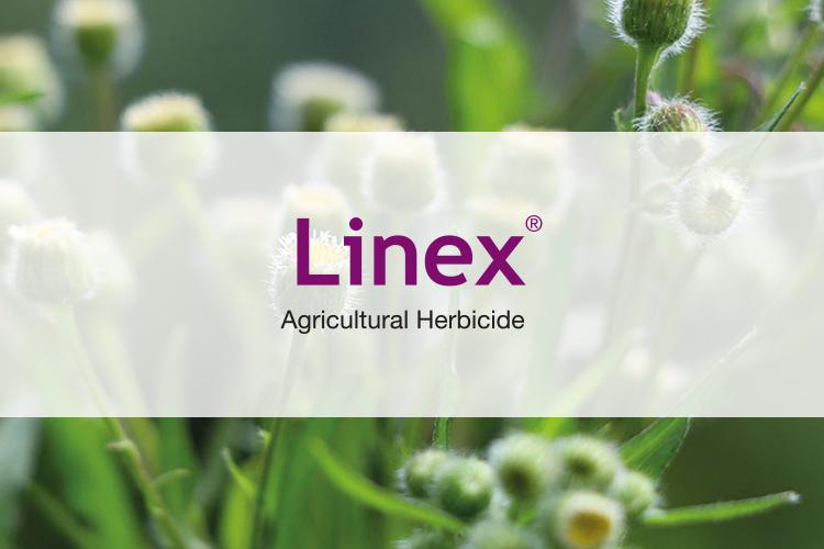 USE GROUP 7 LINEX® FOR WATERHEMP CONTROL IN SOYBEANS