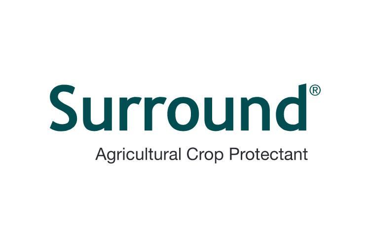 Surround Logo