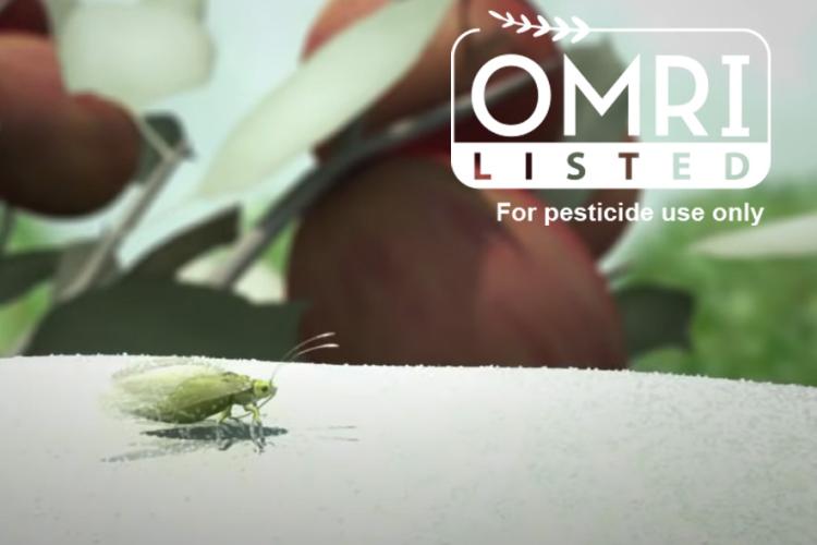 Surround is OMRI Organic for pesticide use
