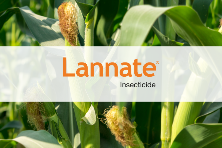 Lannate logo with corn