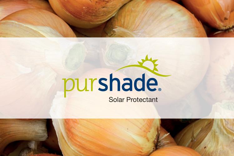 Reducing Solar Stress on Onions